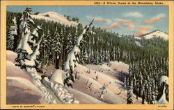 A Winter Scene in the Mountains Scenic, ID Postcard Postcard