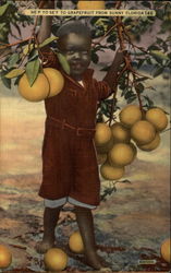 He'p Yo'se'f to Grapefruit from Sunny Florida Postcard