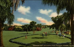 Clearwater Golf and Countrey Club Postcard