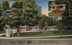 Trees Motel Postcard