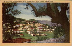 Beautiful homes in the Hollywood Hills Postcard