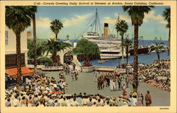 Crowds greeting Daily Arrival of Steamer at Avalon Santa Catalina Island, CA Postcard Postcard