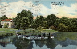 Shuttleworth Pond Postcard