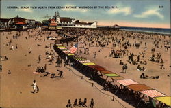 General Beach View North from Cedar Avenue. Wildwood by the Sea, N.J New Jersey Postcard Postcard