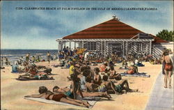 Palm Pavilion on the Gulf of Mexico Postcard