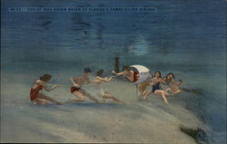 Tug of War under Water at Florida's Famed Silver Springs Postcard Postcard