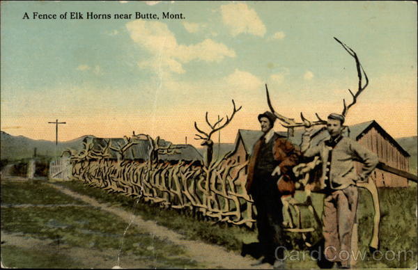 A Fence of Elk Horns Butte Montana