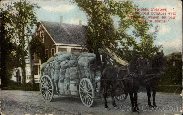 70 bbls. Potatoes, largest load potatoes every hauled on wagon by pair horses in Maine Houlton