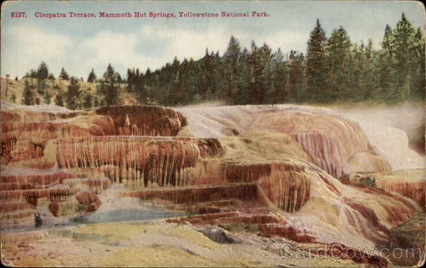 Cleopatra Terrace, Mammoth Hot Springs Yellowstone National Park Wyoming