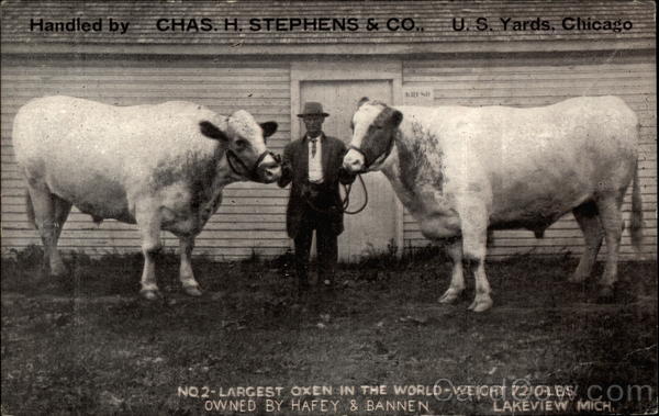 Handed by Chas H. Stephens & Co Chicago Illinois