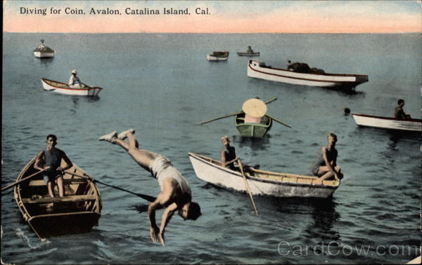 Diving for Coin Santa Catalina Island California