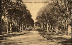 Hillhouse Avenue. New Haven, Conn Postcard