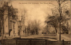 The Campus, Yale University Postcard