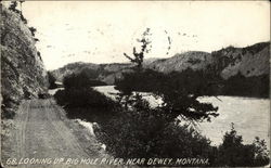 Looking Up Big Hole River Dewey, MT Postcard Postcard