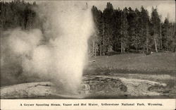 A Geyser Spouting Steam, Vapor and Hot Water Postcard