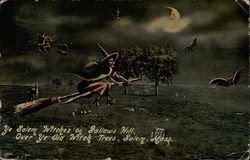 Ye Salem Witches on Gallows Hill, Over Ye Old Witch Trees Postcard