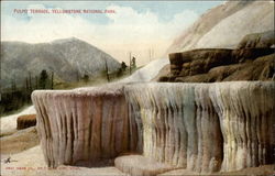 Pulpit Terrace Yellowstone National Park Postcard Postcard