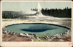 5121 Castle Geyser Postcard
