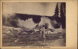 Scene in Yellowstone Postcard