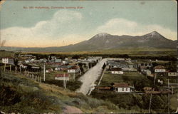 Looking East Postcard