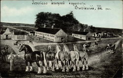 Trumans' Pioneer Stud Farm Bushnell, IL Postcard Postcard