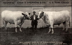 Handed by Chas H. Stephens & Co Postcard