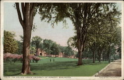 The College Green - University of Vermont Postcard