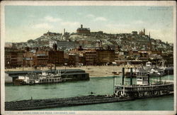Mt. Adams from the River Postcard
