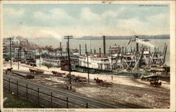 The Levee from the BLuff Postcard