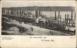St. Louis Levee, 1856 Postcard