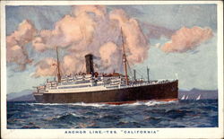 Anchor Line. - T.S.S. "California" Postcard
