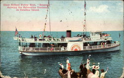 Glass bottom power boat "Emperor" showing the submarine gardens at Catalina Island Postcard