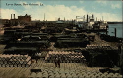 Levee Scene Postcard