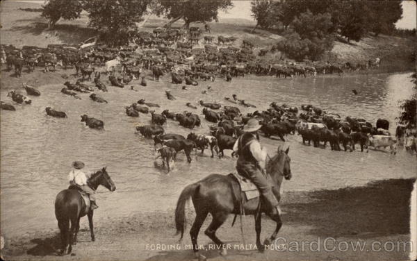 Fording Milk River Malta Montana