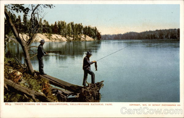 Trout Fishing on the Yellowstone Wyoming Yellowstone National Park