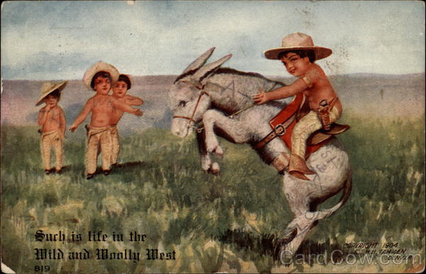 Such is the Life in the Wild and Woolly West Cowboy Western