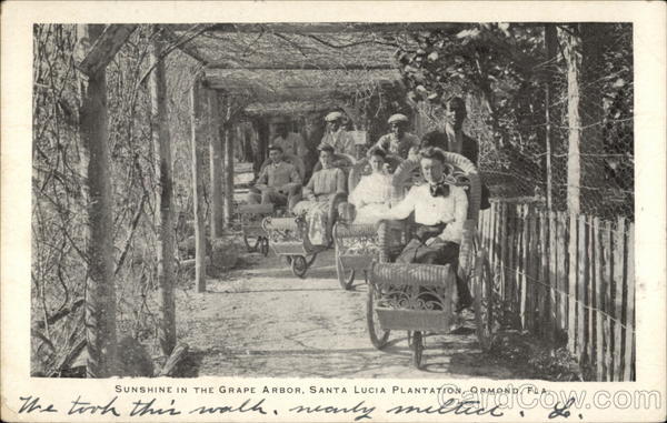 Sunshine in the Grape Arbor - Santa Lucia Plantation Ormond Florida