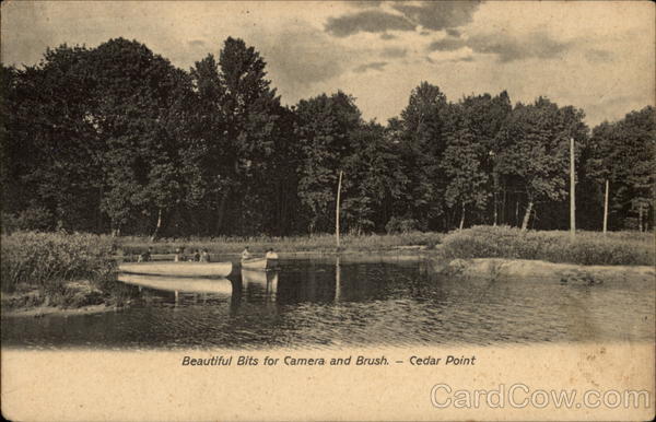 Beautiful Bits for Camber and Brush, Cedar Point Clayton New York