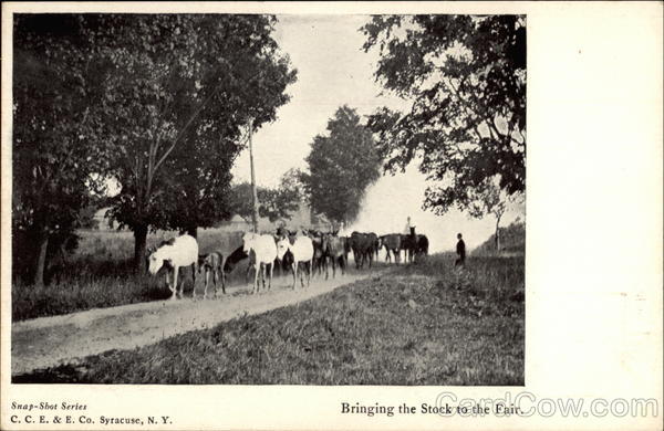 Bringing the Stock to the Fair