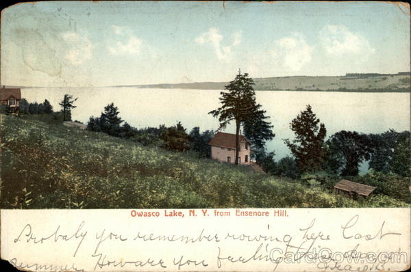 Owasco Lake, NY from Ensenore HIll New York