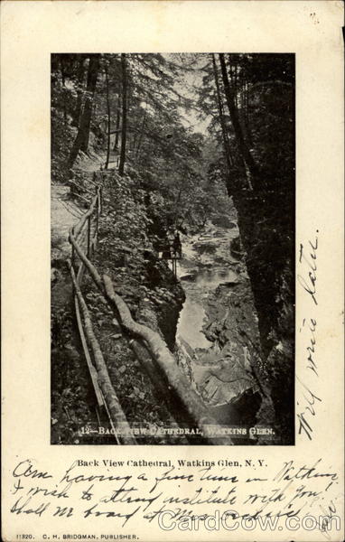 Back View Cathedral Watkins Glen New York