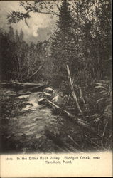 In the Bitter Root Valley, Blodgett Creek Hamilton, MT Postcard Postcard