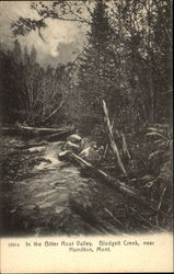 In the Bitter Root Valley, Blodgett Creek Postcard