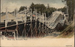 White City Roller Coaster Postcard