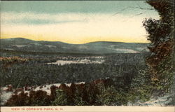 View in Corbin's Park Postcard