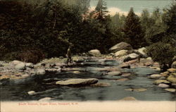 South Branch, Sugar River Newport, NH Postcard Postcard