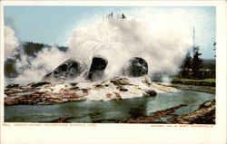 Grotto Geyser Yellowstone National Park, MT Postcard Postcard