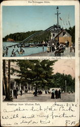 Greetings from Whalom Park Lunenburg, MA Postcard Postcard