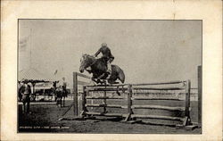 The Horse Show Postcard