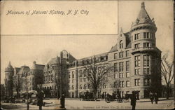 Museum of Natural History Postcard